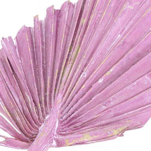 Palmspear Mix Rosa Berry, Weiß gewaschen Gedenkfloristik 65St