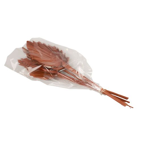 Artikel Palmspear Palmenblätter Naturdeko Braun 5-9×14cm L35cm 4 St