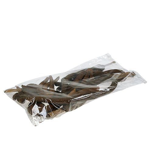 Floristik24 Palmzapfen 3-fach Naturdeko 10 St