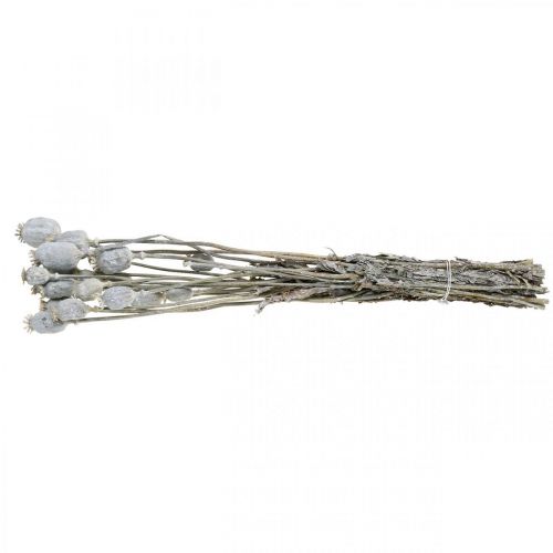 Floristik24 Deko Mohn Weiß Trockenblumen Mohnkapseln Papaver Bund à 75g