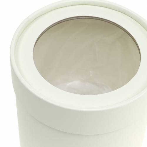 Artikel Blumenbox rund Karton Creme Ø10/12cm 2er Set