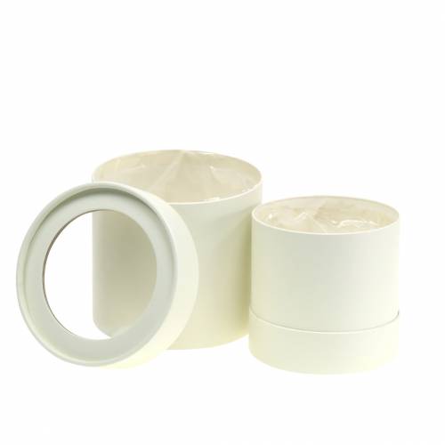 Floristik24 Blumenbox rund Karton Creme Ø10/12cm 2er Set