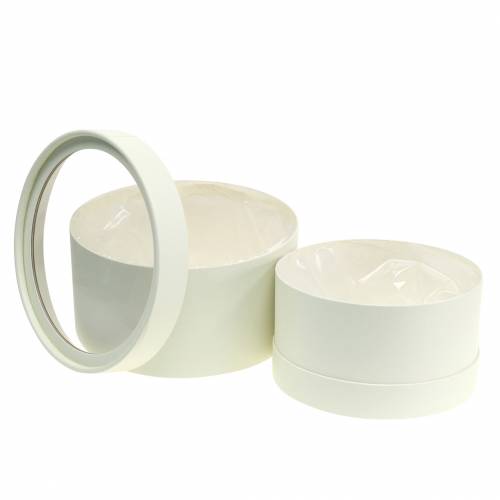 Floristik24 Blumenbox rund Karton Creme Ø15,5/19cm 2er Set