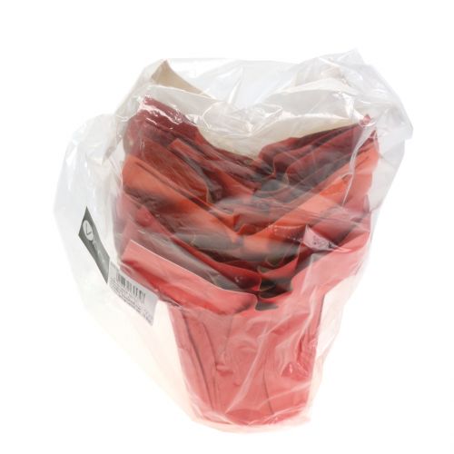 Floristik24 Papiertopf Übertopf Orange/Rot Ø8cm 12St