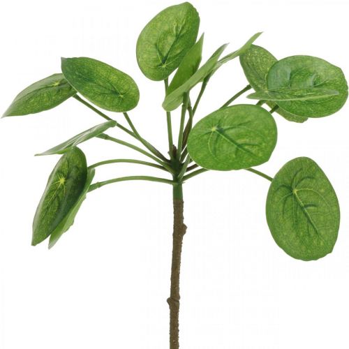 Peperomia Künstliche Grünpflanze mit Blättern 30cm