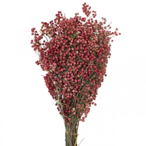 Floristik24 Pfefferbeere, Trockenblumen, Advent, Rosa Pfeffer, Winterdeko L40–45cm 200g