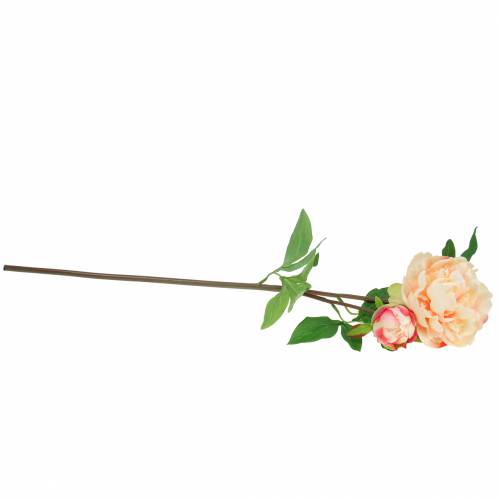 Floristik24 Pfingstrose mit Blüte und Knospe künstlich Pfirsich 70cm