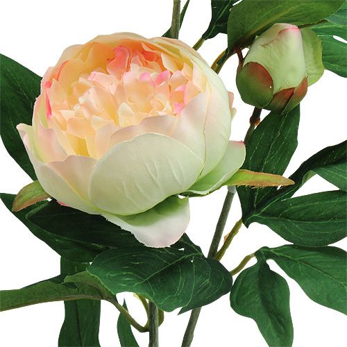 Rose Bauernrose Seidenblume Kunstblume gelb 65 cm 467026 F8 