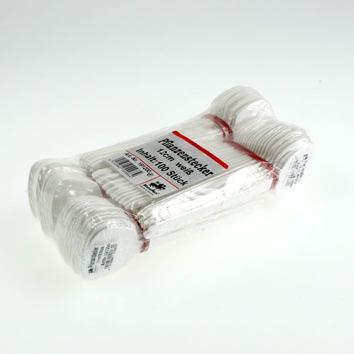 Floristik24 Pflanzensteckschild 12cm 100St