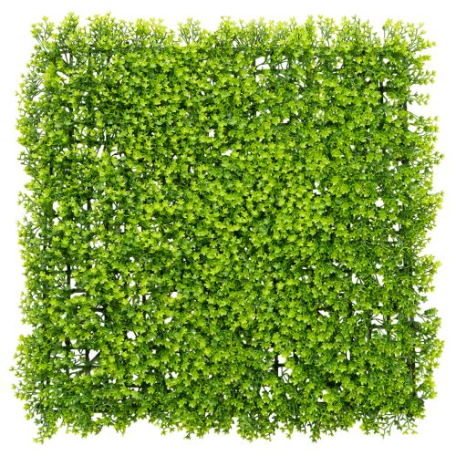 Kunstpflanze Buchsbaum Matte 55x55 cm für dekorative Wandgestaltung kaufen | Floristik24.de
