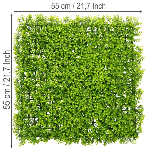 Kunstpflanze Buchsbaum Matte 55x55 cm für dekorative Wandgestaltung | Floristik24.de