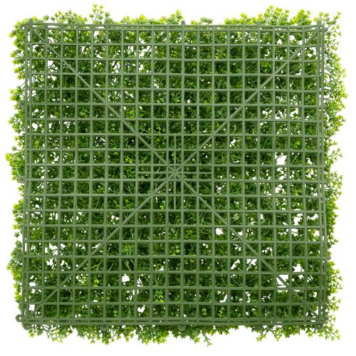Kunstpflanze Buchsbaum Matte 55x55 cm für dekorative Wandgestaltung | Floristik24.de