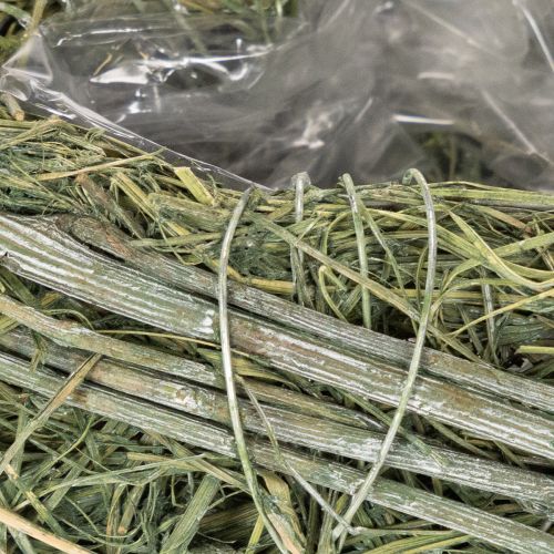Deko Herz aus Naturgras mit Folie Einsatz 14cm 2St | Floristik24.de
