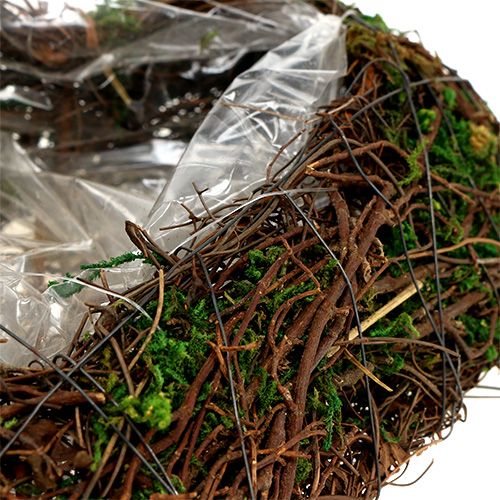 Floristik24 Pflanzherz Rebe, Moos 22cm x 25cm H7cm