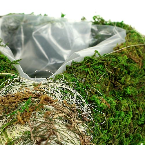 Floristik24 Pflanzherz Moos 35cm x 25cm