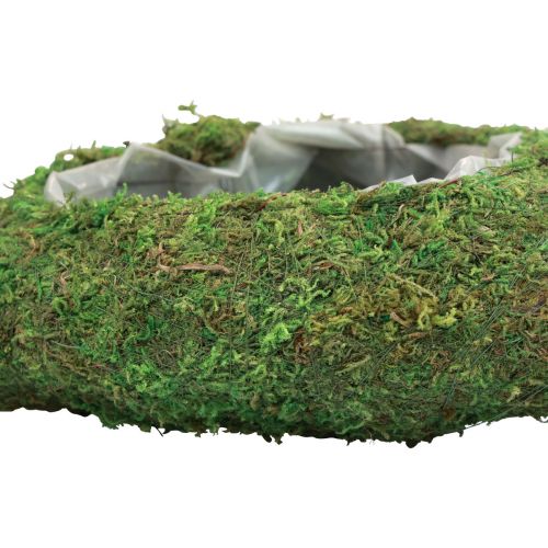 Floristik24 Pflanzherz Moos Grün Pflanzschale Herz 20x20x5,5cm