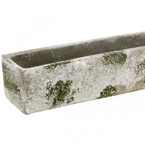 Floristik24 Pflanzkasten Beton Antik Look Blumenkasten rechteckig 40×8×7cm