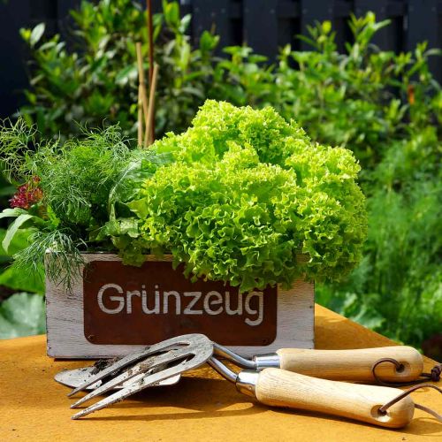 Pflanzkasten “Grünzeug”, Übertopf, Gartendeko aus Holz Weiß gewaschen, Edelrost L35cm H12cm