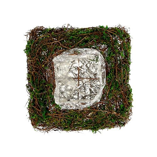 Pflanzkissen Rebe, Moos 22cm x 22cm H7,5cm
