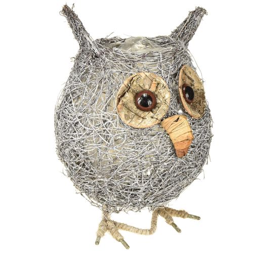 Pflanzkorb Eule Rebe weiß gewaschen Ø14cm