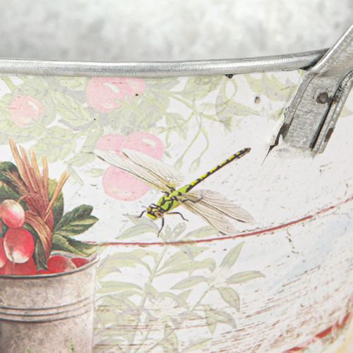 Floristik24 Pflanzschale Metall Oval Fresh Garden 34,5x14x15,5cm