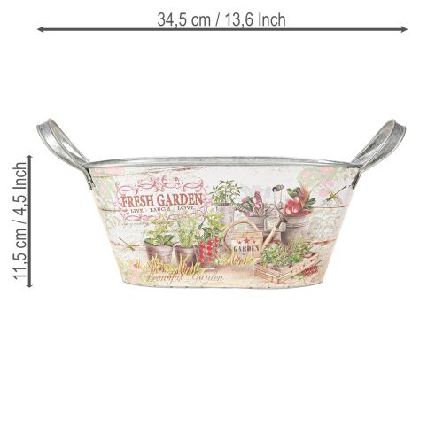 Floristik24 Pflanzschale Metall Oval Fresh Garden 34,5x14x15,5cm