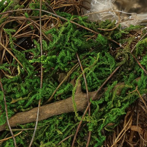 Floristik24 Pflanzschiffchen Reben und Moos Pflanzschale 31×17×6cm