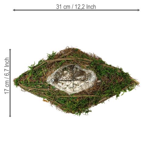Floristik24 Pflanzschiffchen Reben und Moos Pflanzschale 31×17×6cm