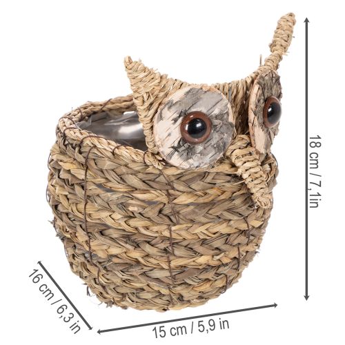 Korb Deko Eule handgeflochten für Fensterbank 18cm | Floristik24.de