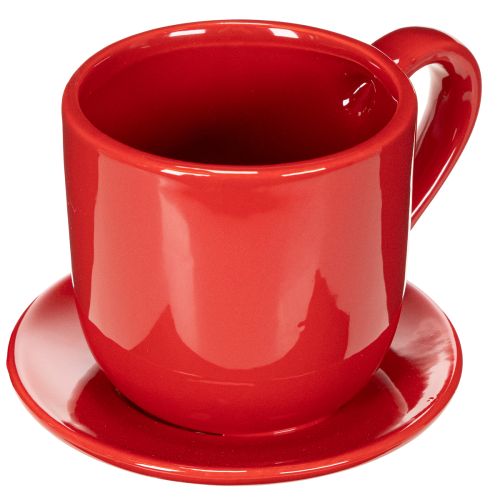 Tasse Deko groß mit Unterteller als Planztopf 17cm | Floristik24.de