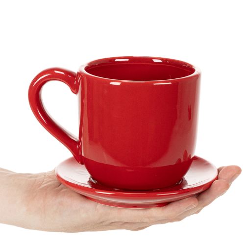 Tasse Deko groß mit Unterteller als Planztopf 17cm | Floristik24.de