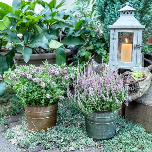 Floristik24 Pflanztopf Orange, Braun, Grün Ø15cm H14cm 3er-Set