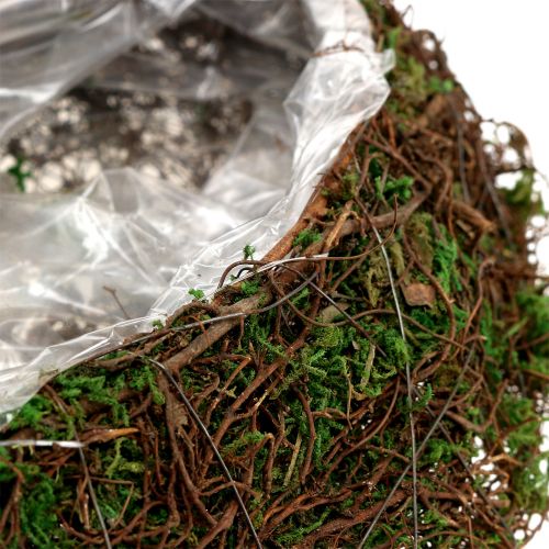 Floristik24 Pflanzwelle Moos mit Rebe 28cm x30cm