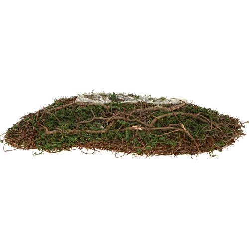 Floristik24 Pflanzwelle Reben Kleine Pflanzschale mit Moos 31×15×7cm