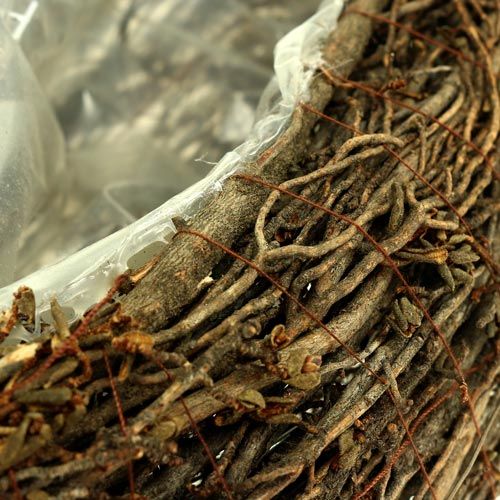 Floristik24 Pflanzwelle aus Zweigen 45cm x 16cm