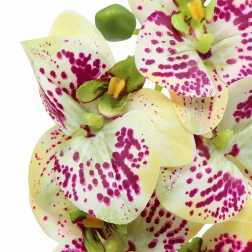 Artikel Künstlicher Orchideenzweig Phaelaenopsis Grün Pink H49cm