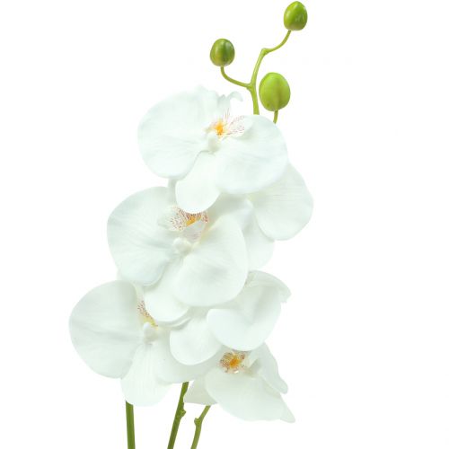 Floristik24 Orchidee Phalaenopsis künstlich Weiß 80cm