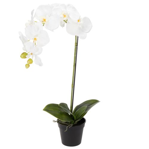 Kunstpflanze Orchidee täuschend echt für Büro und Wohnzimmer Dekoration 62cm
