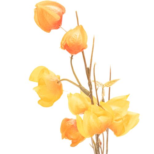 Lampionblume künstlich Physalis Zweig mit Blüten 95cm | Floristik24.de