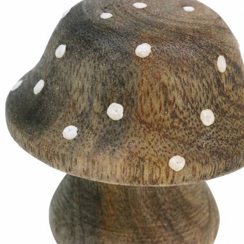 Floristik24 Deko Pilz Holz Natur 5cm 6St