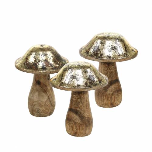 Floristik24 Holzpilz Golden, Natur Mangoholz Ø7–7,6cm H8,5–9,5cm 4St