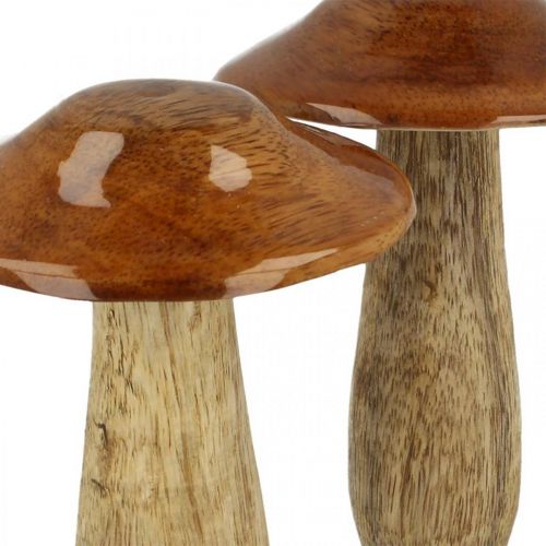 Floristik24 Pilz Mangoholz Braun, Natur Tischdeko Herbst Ø9cm H12cm 2St