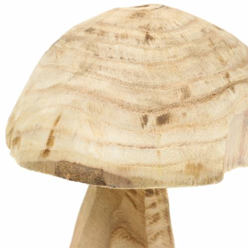 Floristik24 Pilz Paulownia Holz Ø16cm H18cm