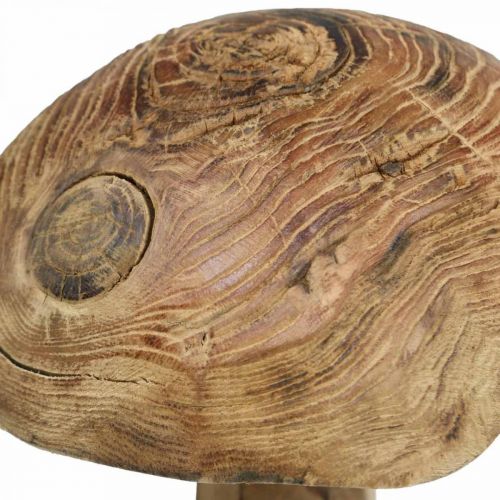 Floristik24 Pilz, Paulownia Holz, Herbst, Holzdeko Ø18–20cm H28cm