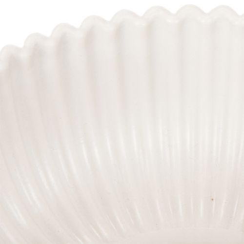Schale rund geriffelt in Weiß für vielseitige Dekoration 15cm 2St | Floristik24.de