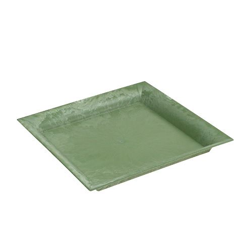 Plastikteller Grün eckig 19,5cm x 19,5cm