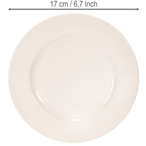 Teller rund schlicht Dekoration und kleine Gestecke 17cm 6St | Floristik24.de