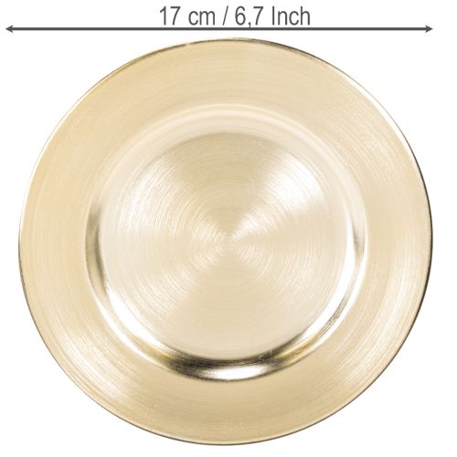 Teller Dekoration klein rund glänzend 17cm 6St