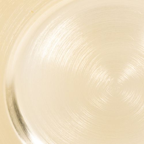 Teller Dekoration klein rund glänzend 17cm 6St | Floristik24.de