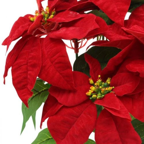 Künstlicher Weihnachtsstern Rot Kunstblumen im Topf H53cm